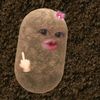 litayuliantari00