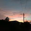 ailurophile58