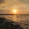 diarysenja_05