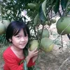 phamvanquynhpham2