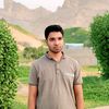 mdhamim769