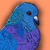 pigeontheperson