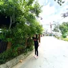 nguyenkieu_6868