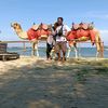 anto_220488