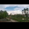 nkn_3202