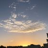ali___ali017
