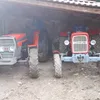 szakalofficial366