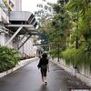Citra Nainggolan