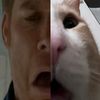 pizdohryak42