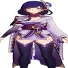 Radien shogun era