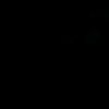 alisq_0