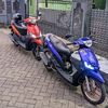 adipermana_51