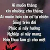 traichungtinhl