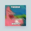 kar___445
