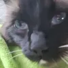 noone_u_need_to_know