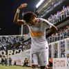 ibrasgmo__10