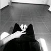 zzz.chizo