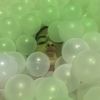 noga_sheffer0