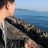 latief313