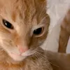 makapakaufuf
