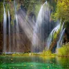 jan0093__afg