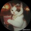 s.a.k.u.r.a_ilona_