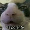 imnovars
