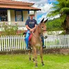 joaopedro_146_