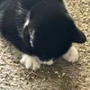 slurpmyn00ds
