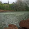 amranajat
