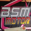 bsm_motor1