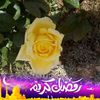 dyq8htmgvabk