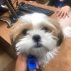 jaybee0131