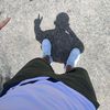 diel_r