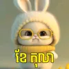 dy3wyqw558s9