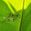 soosho5