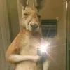ben.jamonyqueso1