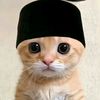 muhammadfarid8219