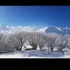 kawaahmad828