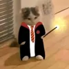 potter_446