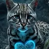 user3156950141458