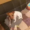 pouckydouce