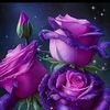 denisebrown2376