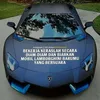 veloy6