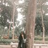 ika_saja05