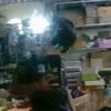 meng..hong11