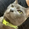 bufftuongtac.com