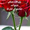 mohsenhamdan77