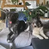 kerstin2103