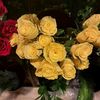 user2219504101612